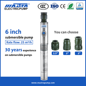 Bomba eléctrica de 6 pulgadas Mastra R150-FS GRUNDFOS Sumersible Well Bump Reviews